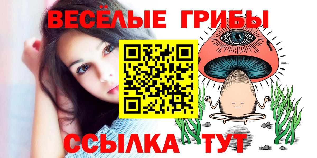 Чистополь  Галлюциногенные грибы MAGIC MUSHROOMS  наркота  Вход с VPN 